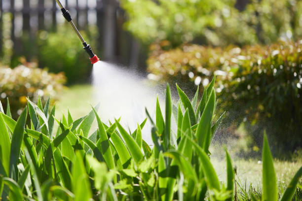 Tamper-Resistant Bait Stations for Rodents in Corcoran