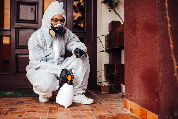 Attic and Crawl Space Rodent Treatment in Corcoran